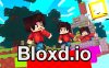 Bloxd.io